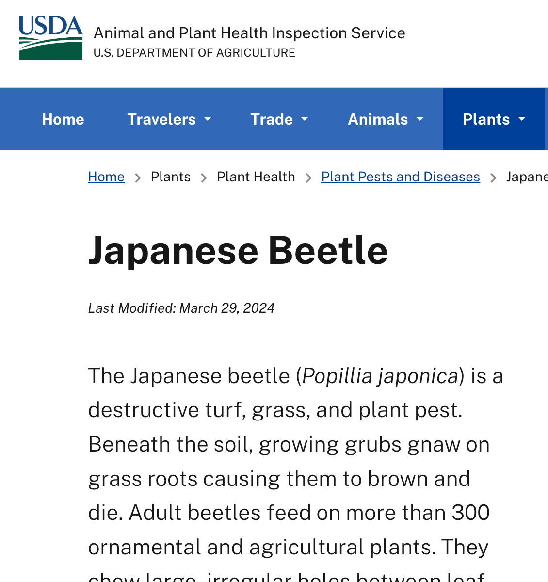 Japanese Beetle Info USDA
